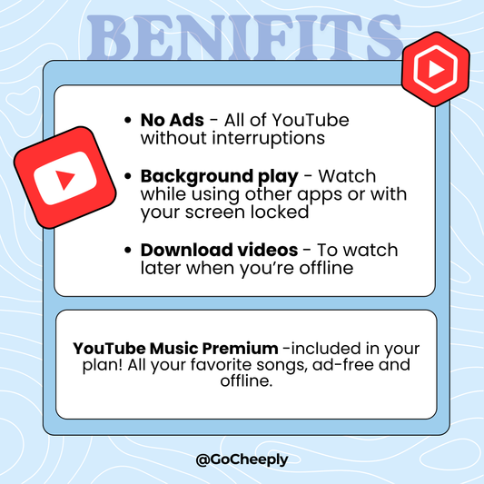 4. YouTube Premium - Individual
