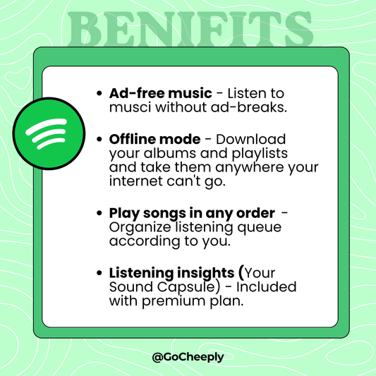 3. Spotify Premium - Individual