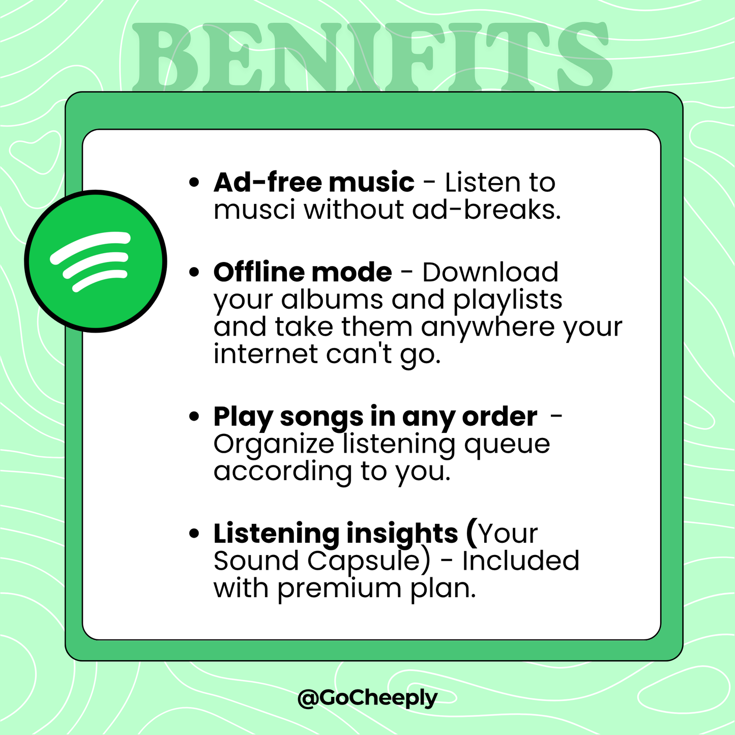 3. Spotify Premium - Individual